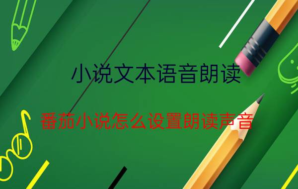 小说文本语音朗读 番茄小说怎么设置朗读声音？